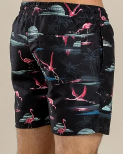 Skylark Alcove Elastic Waist Board Shorts Black Outlet