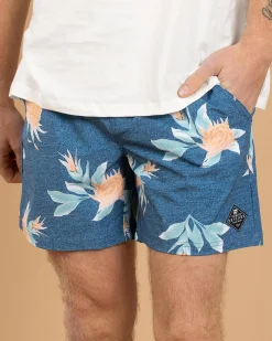 Skylark Arbor Elastic Waist Shorts Blue New