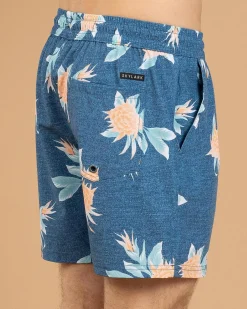 Skylark Arbor Elastic Waist Shorts Blue New
