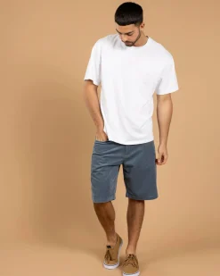 Skylark Ascent Walk Shorts Slate Blue Online