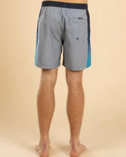 Quiksilver Everyday Holmes Volley 17NB Board Shorts Quarry Holmes Best
