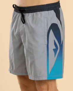 Quiksilver Everyday Holmes Volley 17NB Board Shorts Quarry Holmes Best
