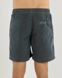 Quiksilver Everyday Surfwash Volley 17
