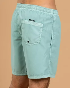 Quiksilver Everyday Surfwash Volley 17 NB Board Shorts Aquifer Hot
