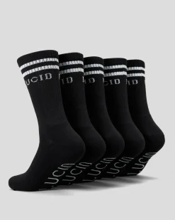 Lucid Linked Socks 5 Pack Black Best