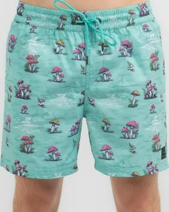 Lucid Organic Elastic Waist Shorts Mint Outlet