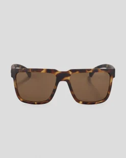 Carve Phenomenon Sunglasses Matt Tort/ Brown Online