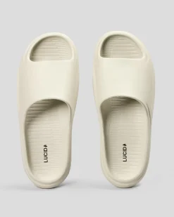 Lucid Protocol Slides Oatmeal New