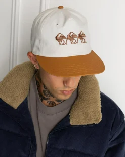 Quiksilver QS Frassnassa Cap Bran Sale