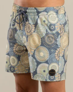 Skylark Radial Elastic Waist Shorts Slate New