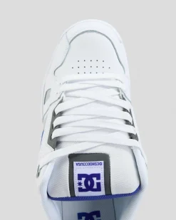 DC Shoes Stag Shoes White/blue/grey Sale