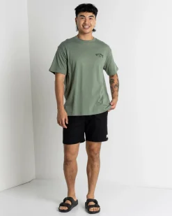 Billabong Team Arch Short Sleeve T-Shirt Fern Hot