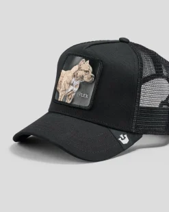 Goorin Bros The Pitbull Trucker Cap Black New