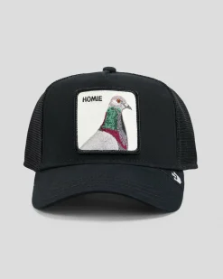 Goorin Bros V2 Pigeon Trucker Cap Black Best