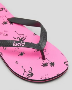 Lucid Voyage Thongs Pink/black New